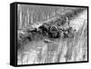 Vietnam War US Troops-Henri Huet-Framed Stretched Canvas