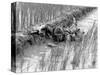 Vietnam War US Troops-Henri Huet-Stretched Canvas