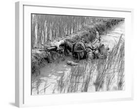 Vietnam War US Troops-Henri Huet-Framed Photographic Print