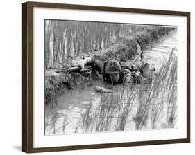 Vietnam War US Troops-Henri Huet-Framed Photographic Print