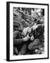 Vietnam War Wounded Medic-Henri Huet-Framed Premium Photographic Print