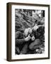 Vietnam War Wounded Medic-Henri Huet-Framed Photographic Print