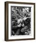 Vietnam War Wounded Medic-Henri Huet-Framed Photographic Print