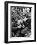 Vietnam War Wounded Medic-Henri Huet-Framed Photographic Print