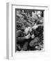 Vietnam War Wounded Medic-Henri Huet-Framed Photographic Print