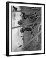 Vietnam War-Associated Press-Framed Premium Photographic Print