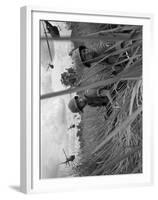 Vietnam War-Associated Press-Framed Premium Photographic Print