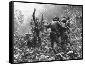 Vietnam War-Art Greenspon-Framed Stretched Canvas