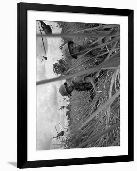 Vietnam War-Associated Press-Framed Photographic Print