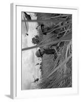 Vietnam War-Associated Press-Framed Photographic Print