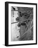 Vietnam War-Associated Press-Framed Photographic Print