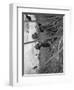 Vietnam War-Associated Press-Framed Photographic Print