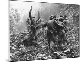 Vietnam War-Art Greenspon-Mounted Photographic Print