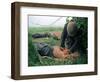 Vietnam War-Horst Faas-Framed Photographic Print