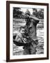 Vietnam War-Associated Press-Framed Photographic Print