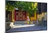 Vietnam. Woman with vegetable basket for sale.-Tom Norring-Mounted Photographic Print