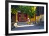 Vietnam. Woman with vegetable basket for sale.-Tom Norring-Framed Photographic Print