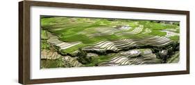 Vietnam.-Tom Norring-Framed Photographic Print