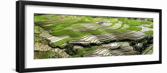 Vietnam.-Tom Norring-Framed Photographic Print