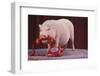 Vietnamese Pot-Bellied Pig Using Telephone-DLILLC-Framed Photographic Print