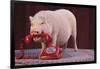 Vietnamese Pot-Bellied Pig Using Telephone-DLILLC-Framed Photographic Print