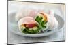 Vietnamese Spring Rolls with Salmon-ALein-Mounted Photographic Print