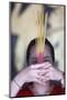 Vietnamese woman in red traditional long dress Ao Dai praying with incense sticks-Godong-Mounted Photographic Print