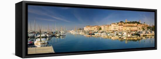 Vieux Port and Old Quarter of Le Suquet, Cannes, Cote D'Azur, France-Michele Falzone-Framed Stretched Canvas