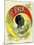 Vieux Rhum Jamaique Brand Rum Label-Lantern Press-Mounted Art Print