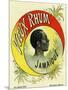 Vieux Rhum Jamaique Brand Rum Label-Lantern Press-Mounted Art Print