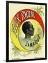 Vieux Rhum Jamaique Brand Rum Label-Lantern Press-Framed Art Print