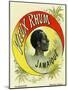 Vieux Rhum Jamaique Brand Rum Label-Lantern Press-Mounted Art Print