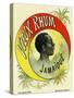 Vieux Rhum Jamaique Brand Rum Label-Lantern Press-Stretched Canvas