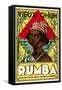 Vieux Rhum, Martinique-null-Framed Stretched Canvas