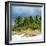 View a Forest of Palm Trees along the Beach during a Tropical Storm - Miami - Florida-Philippe Hugonnard-Framed Photographic Print