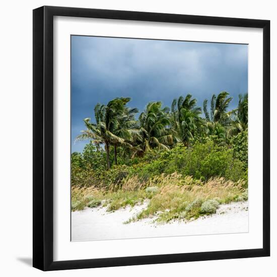 View a Forest of Palm Trees along the Beach during a Tropical Storm - Miami - Florida-Philippe Hugonnard-Framed Photographic Print