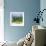 View a Forest of Palm Trees along the Beach during a Tropical Storm - Miami - Florida-Philippe Hugonnard-Framed Photographic Print displayed on a wall