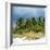 View a Forest of Palm Trees along the Beach during a Tropical Storm - Miami - Florida-Philippe Hugonnard-Framed Photographic Print