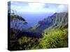 View Above the Na Pali Coast, Kauai, Hawaii, USA-Christopher Talbot Frank-Stretched Canvas