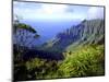 View Above the Na Pali Coast, Kauai, Hawaii, USA-Christopher Talbot Frank-Mounted Premium Photographic Print