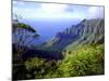 View Above the Na Pali Coast, Kauai, Hawaii, USA-Christopher Talbot Frank-Mounted Photographic Print