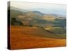 View across Agricultural Landscape at Sunrise, Volterra, Tuscany, Italy, Europe-Tomlinson Ruth-Stretched Canvas