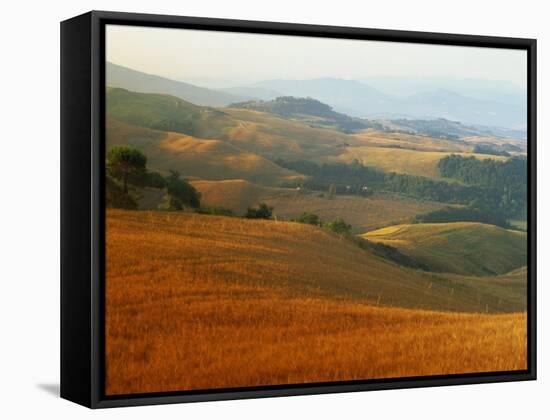 View across Agricultural Landscape at Sunrise, Volterra, Tuscany, Italy, Europe-Tomlinson Ruth-Framed Stretched Canvas