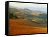 View across Agricultural Landscape at Sunrise, Volterra, Tuscany, Italy, Europe-Tomlinson Ruth-Framed Stretched Canvas