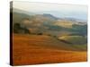 View across Agricultural Landscape at Sunrise, Volterra, Tuscany, Italy, Europe-Tomlinson Ruth-Stretched Canvas