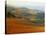 View across Agricultural Landscape at Sunrise, Volterra, Tuscany, Italy, Europe-Tomlinson Ruth-Stretched Canvas