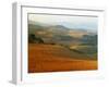 View across Agricultural Landscape at Sunrise, Volterra, Tuscany, Italy, Europe-Tomlinson Ruth-Framed Photographic Print