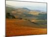 View across Agricultural Landscape at Sunrise, Volterra, Tuscany, Italy, Europe-Tomlinson Ruth-Mounted Photographic Print