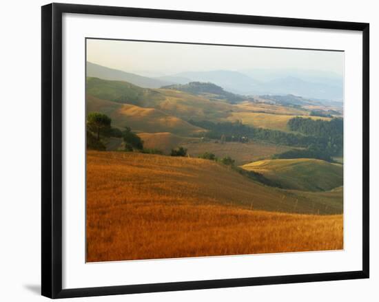 View across Agricultural Landscape at Sunrise, Volterra, Tuscany, Italy, Europe-Tomlinson Ruth-Framed Photographic Print