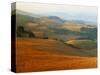 View across Agricultural Landscape at Sunrise, Volterra, Tuscany, Italy, Europe-Tomlinson Ruth-Stretched Canvas